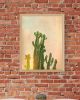 Cactus glow | Photography by Louise O'Gorman