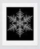 EXPOSED WINTER — SNOWFLAKE | Decorative Objects by Exposedart