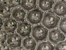 Bubbles Reverse Silver Wall Sculpture | Wall Hangings by PlusObject