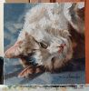 Custom pet portrait oil painting original, Custom cat | Oil And Acrylic Painting in Paintings by Natart. Item composed of canvas & synthetic compatible with contemporary style