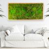 Plant Wall Art Moss and Fern Sculpture, Long Horizontal | Living Wall in Plants & Landscape by Sarah Montgomery
