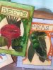 Garden Harvest | Mixed Media in Paintings by Kathy Ferguson Art