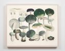 Mushroom Decor, Cool Earth Tone Mushroom Art Print, Kitchen | Prints by Capricorn Press. Item composed of paper in boho or minimalism style