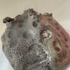 Meteor | Vase in Vases & Vessels by Anna Altman. Item composed of ceramic