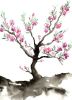 Sakura Tree | Prints by Brazen Edwards Artist. Item composed of canvas & paper