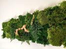 Plant Wall Art Moss and Fern Sculpture, Dimensional Painting | Living Wall in Plants & Landscape by Sarah Montgomery