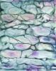 Invidia | Prints by Brazen Edwards Artist. Item made of canvas with paper