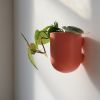 Bender Wall Planter | Vases & Vessels by Misewell
