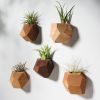 GEORGIA Bundle Set of Five Geometric Wood Air Plant Holder | Living Wall in Plants & Landscape by Untitled_Co