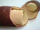Jatoba Vase | Vases & Vessels by Anduba Brazilian Art