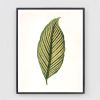 Botanical Print Set, Set of 4 botanical prints, Antique | Prints by Capricorn Press. Item composed of paper in boho or country & farmhouse style