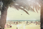 Palm-Framed Beach | Photography by Louise O'Gorman