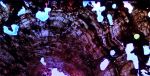 LichenIt - Wood and Resin decorative lighting display | Mixed Media by Scott Williams - Unique Originals