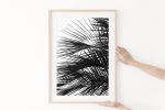 Minimalist palm tree wall art, "Palm Fronds" photograph | Photography by PappasBland. Item composed of paper in minimalism or contemporary style