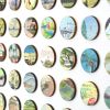One Hundred Vintage Encyclopedia Dots Collage | Paintings by Amelia Coward
