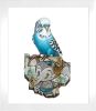 "Lord Budgie" | Prints by Greg "CRAOLA" Simkins
