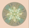 Botanical mandala #4 | Photography by Louise O'Gorman