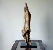 Driftwood Art Sculpture "Posing Porpoise" | Sculptures by Sculptured By Nature  By John Walker. Item composed of wood compatible with minimalism style