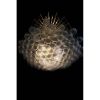 Alan Mizrahi KA1837 Bubble Chandelier | Chandeliers by Alan Mizrahi Lighting Design