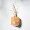 GEORGIA Beech Air Plant Holder | Planter in Vases & Vessels by Untitled_Co