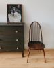 The Delightful Woodhouse | Prints by The Ugly Cat Studio