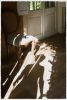 Companion | Photography by Louise O'Gorman