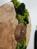 Wood Moss Art Clock | Decorative Objects by Carlberg Design
