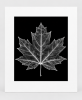 EXPOSED AUTUMN — MAPLE LEAF | Decorative Objects by Exposedart
