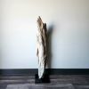 Rustic Driftwood Art Sculpture "Feathered" | Sculptures by Sculptured By Nature  By John Walker. Item composed of wood in minimalism style