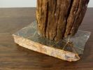 Driftwood Sculpture "Eye Opener" with Marble Base | Sculptures by Sculptured By Nature  By John Walker. Item composed of wood compatible with minimalism style