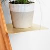 Wallflower | Plant Stand in Plants & Landscape by Formr. Item composed of wood
