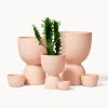 Blush Stacked Planters | Vases & Vessels by Franca NYC. Item made of ceramic compatible with boho and minimalism style