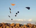 Hoopoe Mobile | Sculptures by OM Editions: A Limited Edition Furniture Collection. Item composed of steel