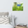 Asiatic Dayflower Floral Nature Photo Wall Art Print | Photography by PIPA Designs