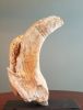 Driftwood Sculpture "Sound The Horn" | Sculptures by Sculptured By Nature  By John Walker. Item composed of wood compatible with minimalism style