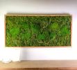 Plant Wall Art Moss and Fern Sculpture, Long Horizontal | Living Wall in Plants & Landscape by Sarah Montgomery