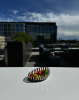 The Basket | Serving Bowl in Serveware by Rikan