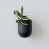 Bender Wall Planter | Vases & Vessels by Misewell