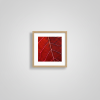 Crimson Vein — Abstract Botanical Photography Print | Photography by Ava Bock Art