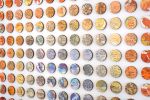Equator | Collage in Paintings by Amelia Coward