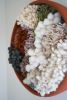 MEDLEY | Tapestry in Wall Hangings by Keyaiira | leather + fiber. Item composed of fiber