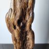 Driftwood Art Sculpture "The Lepidote" | Sculptures by Sculptured By Nature  By John Walker. Item composed of wood in minimalism style