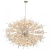 QZ6631 Starburst | Chandeliers by Alan Mizrahi Lighting Design