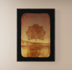 Copper Tree | Photography by Louise O'Gorman