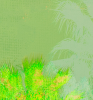 Tropical Tapestry | Photography by Louise O'Gorman