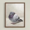 Majestic Fat Bird | Work by Catherine H