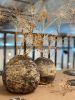 Rustic Ceramic Dinosaur Egg Planter. A Unique and Primitive | Vases & Vessels by YomYomceramic. Item composed of ceramic