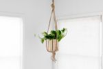 6" Golden Pothos + Hanging basket | Plant Hanger in Plants & Landscape by NEEPA HUT. Item made of wood with fiber