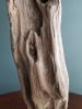 Driftwood Sculpture "Longevity" | Sculptures by Sculptured By Nature  By John Walker. Item made of wood works with minimalism style