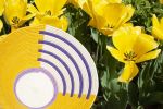 fret large basket marigold | Storage Basket in Storage by Charlie Sprout. Item composed of fiber